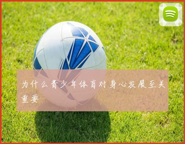 为什么青少年体育对身心发展至关重要
